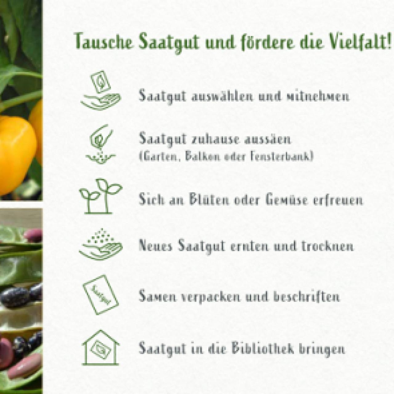 Flyer Saatgutbibliothek